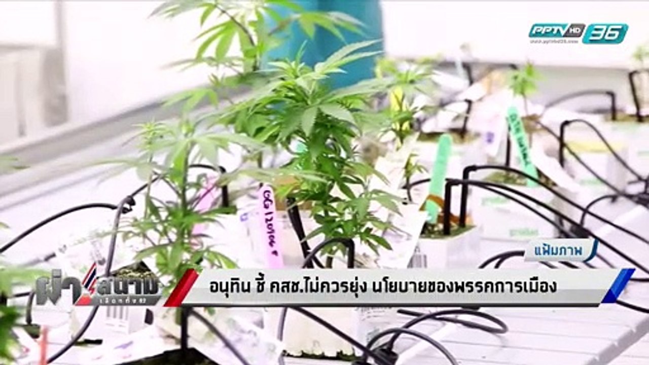 เลือกตั้ง 2562 | “เสี่ยหนู” แนะ รัฐบาล ให้เกียรติ นโยบายพรรคการเมือง | เข้มข่าวค่ำ