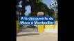 A la découverte du Moco, le nouveau centre d'art contemporain de Montpellier