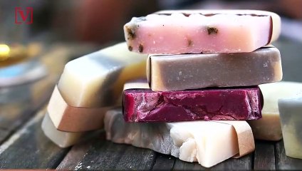 How to Pet-Proof Your House if You’re Getting a New Dog or Cat