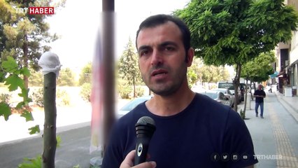 Kaldırımdaki fidanı kıran kişiye 100 fidan dikme cezası