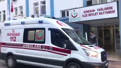 Ayının saldırısına uğrayan çiftçi yaralandı