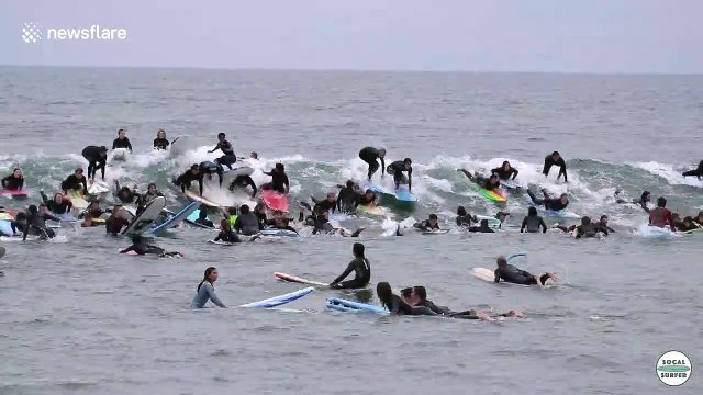Huge party wave turns into huge surfing fail