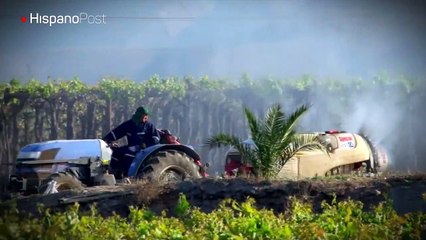 Ciclo de siembra se perdió: ¿Qué van a comer los venezolanos?