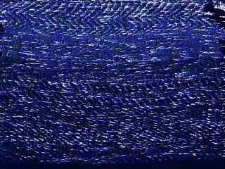 The Art of Self Defense Movie - Viral Video - An Important Message From Your Sensei