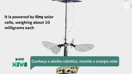 Conheça a abelha robótica, movida a energia solar