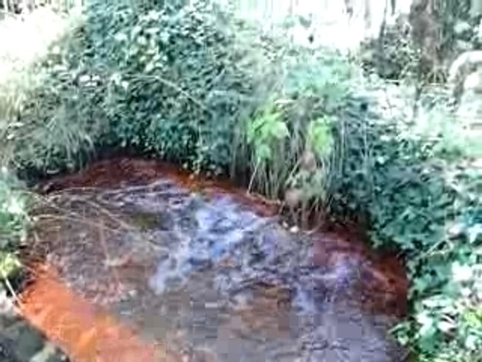 JOZE Source de l'étoile