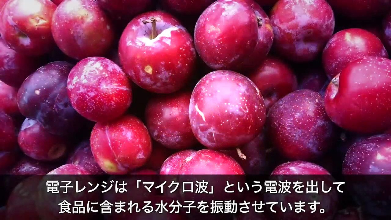 【衝撃】もしも電子レンジの中に閉じ込められてしまったらどうなるのか？