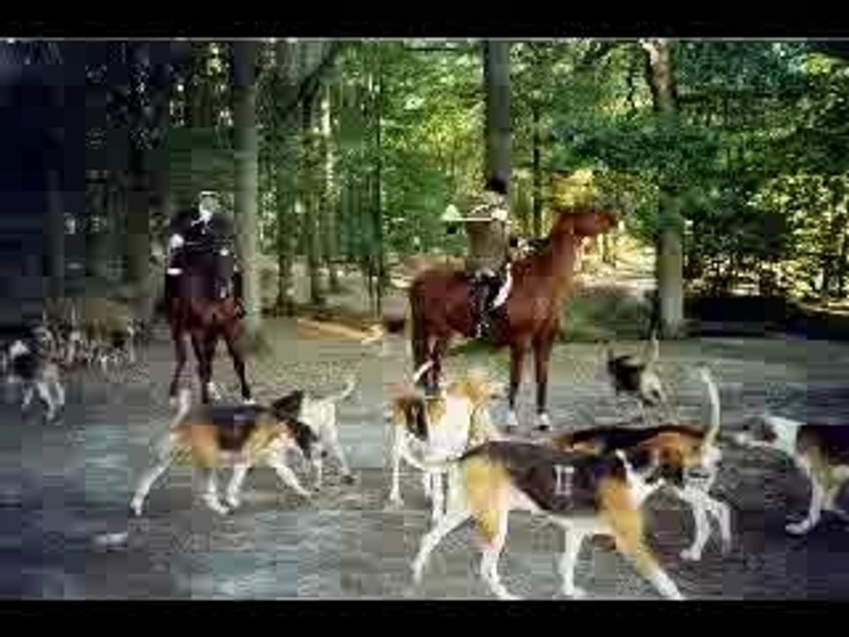 Chasse