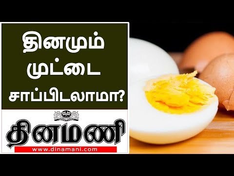 Is Eating Egg Yolks Good or Bad? - Nutrition Tips in Tamil | Health benifits of egg in tamil