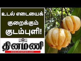 Malabar Tamarind for weight loss| கிடுகிடுவென உடல் எடையைக் குறைக்கும் குடம்புளி!
