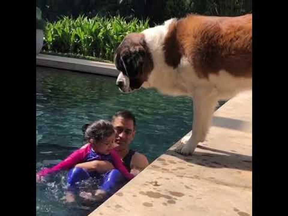 Ms Dhoni Playing With Daughter Ziva Dhoni  |  Funny Video of Dhoni's Family
