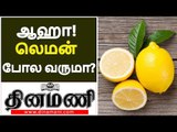ஆஹா! லெமன் போல வருமா? | Health Benefits of Lemons | Health Tips