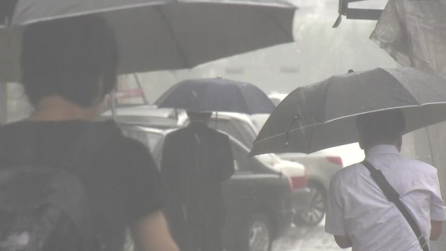 [날씨] 주말 전국 장맛비...남해안∼제주도 폭우 / YTN