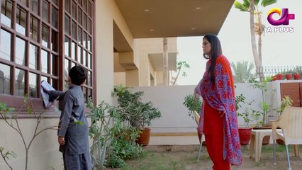 Télécharger la video: Aik Aur Sitam - Episode 19 _ Aplus Dramas _ Maria Wasti, Alyy Khan, Beenish Chohan