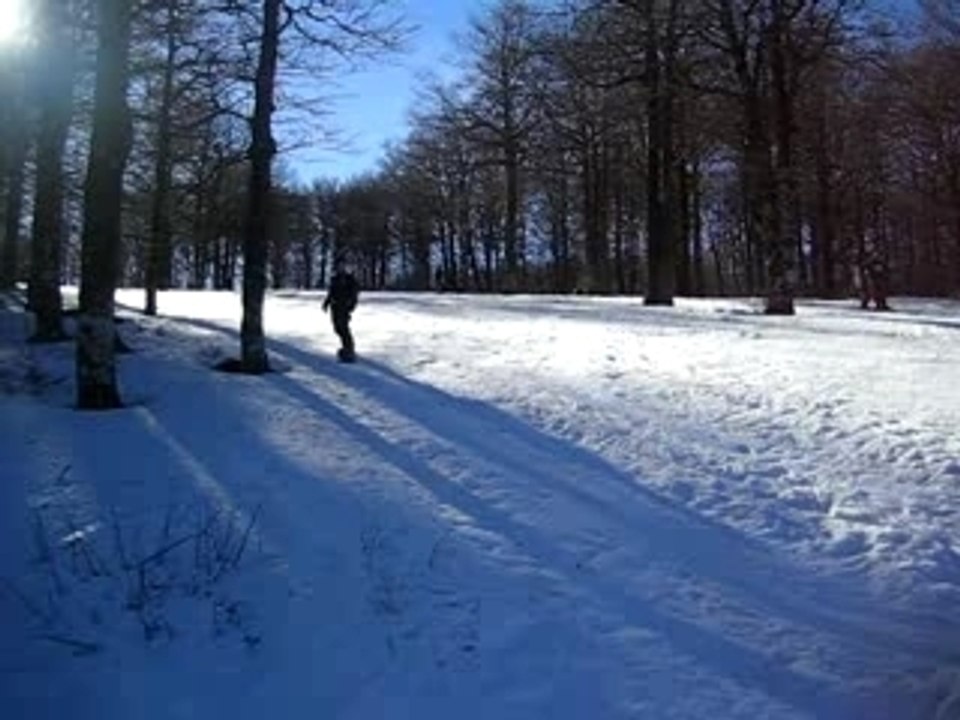 Ski Aigoual