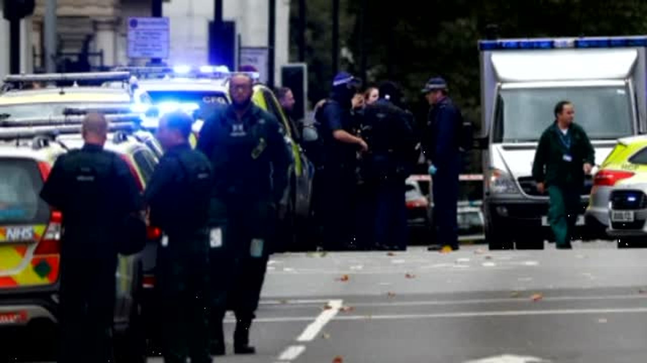Varios heridos en un atropello junto al Museo de Historia Natural de Londres