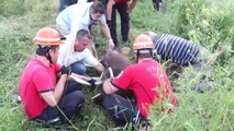 Bolu'da kullanılmayan rögara düşen ineği bulunduğu yerden itfaiye ekipleri çıkardı
