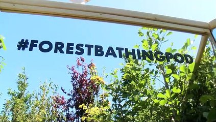 It's Time To RELAX Liverpool!