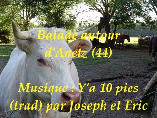 Balade autour d'Anetz (44)