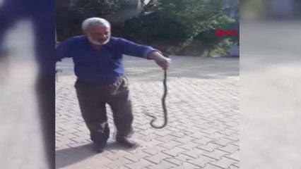 BURSA YATAK ODASINDA ÇIPLAK ELLE YAKALADIĞI YILANI DOĞAYA BIRAKTI