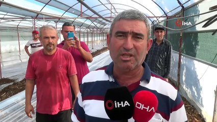 Virüse dayalı ve fungusit hastalıklarla baş edemeyen çiftçiler, seralarda solarizasyon uygulaması başlattı
