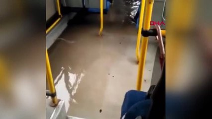DHA DIŞ- Rusya'da sel sebebiyle havalimanı girişleri kapatıldı