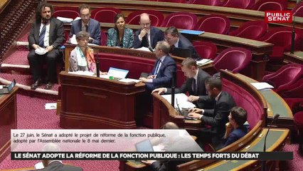 Download Video: Le Sénat adopte la réforme de la fonction publique : les temps forts du débat - Les matins du Sénat (28/06/2019)