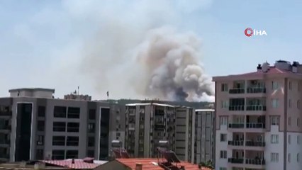 Buca'da orman yangını