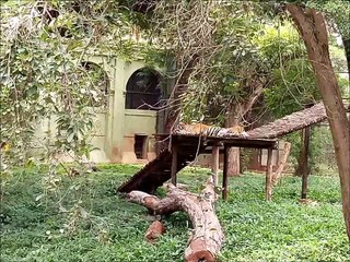 Benglore mysore Ooty