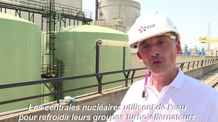 Canicule: "pas de baisse" de la production nucléaire d'EDF