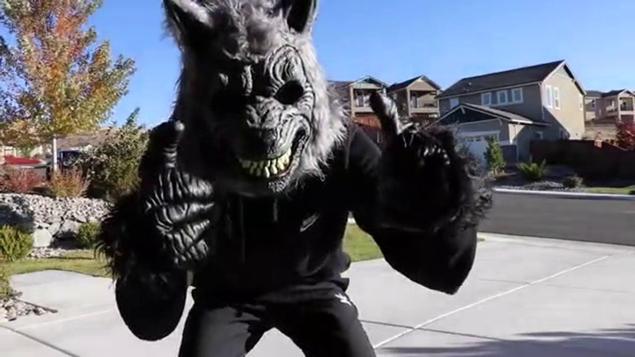 Scary_Werewolf_Prank_On_My_Huskies!