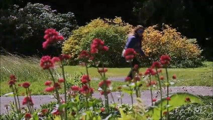 Top 5 des Drones, vous devriez acheter