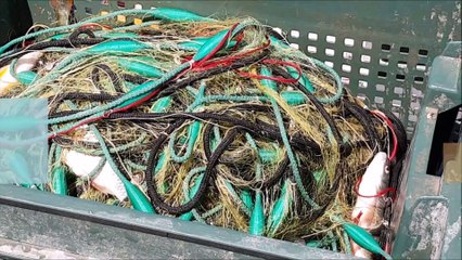 Lac Léman : des contrôles tous azimuts