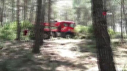 Buca'daki orman yangını kontrol altında alındı