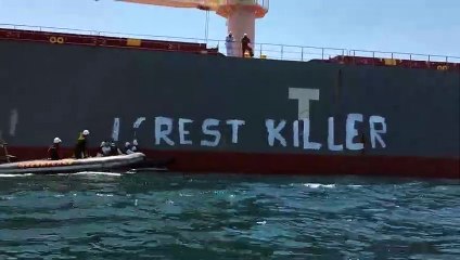Greenpeace empêche un bateau de soja d'entrer dans le port de Sète