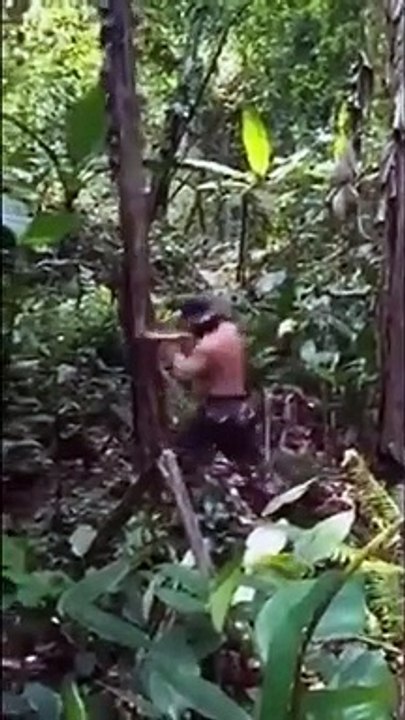 Il découpe des arbres à coup de poing... Efficace