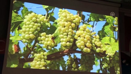 'Doğu'da sıcak hava dalgasının 200 güne ulaşacağı tahmin ediliyor'  - MARDİN