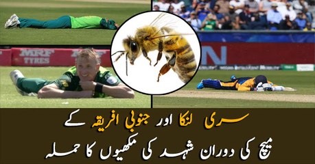 Bees attack Sri Lanka vs South Africa WC encounter, players hit the deck