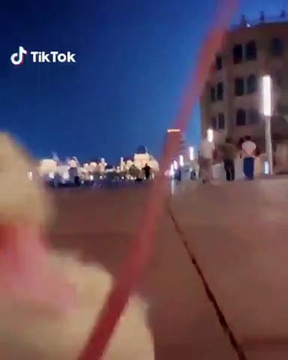 Cette chienne sait attendre son repas avec patience. Trop cute !