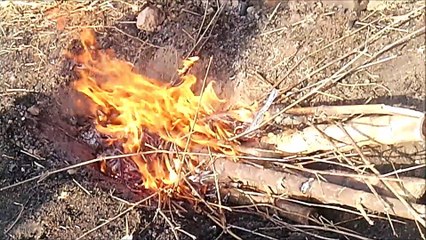 Bake the felled bamboo. Make a bamboo charcoal.