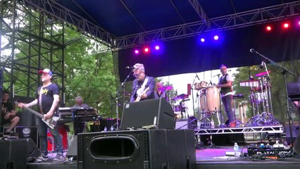 los pericos