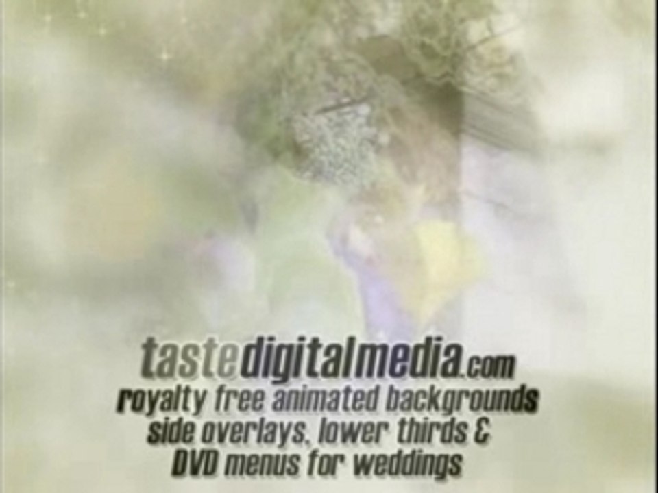 Video loops, motion backgrounds, digital transitions