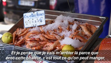 Canicule: pour le poisson, c'est "deux fois plus de glace"