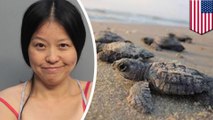 Woman arrested for stomping on sea turtle nest busted again