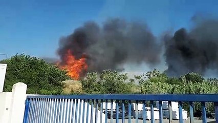 Sorgues : un feu se propage au bord de l'A7, circulation au ralenti
