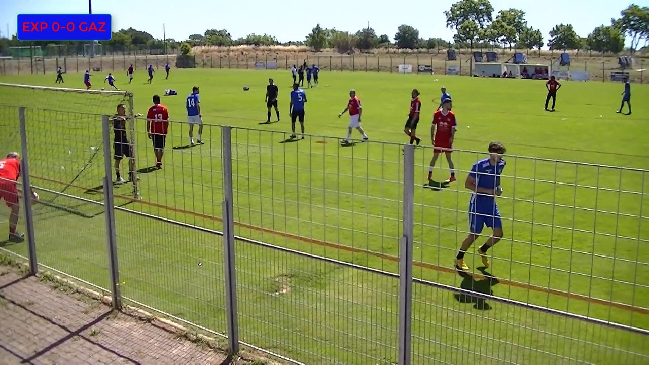 Expandables vs Gazelles 1-1