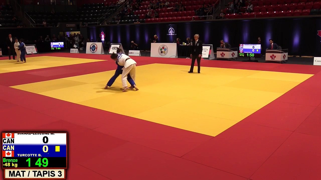 Judo - Tapis 3 (118)
