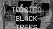 MVGEN: Twisted Black Trees : Roots
