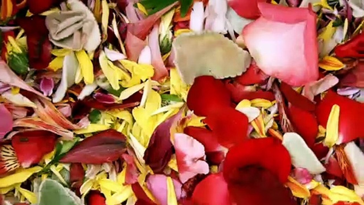 The Sand and Flower carpets Christi of La Orotava