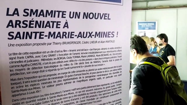 DNA - Trois questions à Nicolas Meisser, conservateur de minéralogie et pétrographie au musée cantonal de géologie de Lausanne (à l'occasion de la Bourse aux minéraux de Sainte-Marie-aux-Mines)